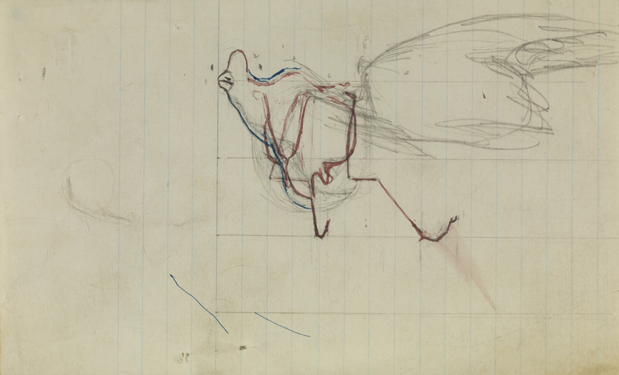 Bird in Flight: Anatomical Study, Foreshortened