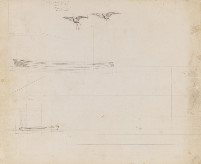 Rail Shooting (?): Perspective Studies of Gunning Skiffs and Birds in Flight