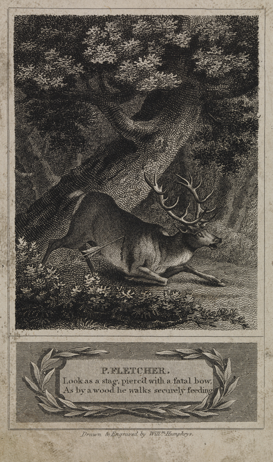 [Bookplate for P. Fletcher: Wounded stag]
