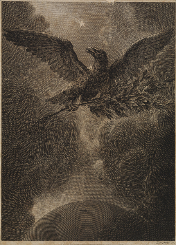 [Eagle with olive branch among clouds]