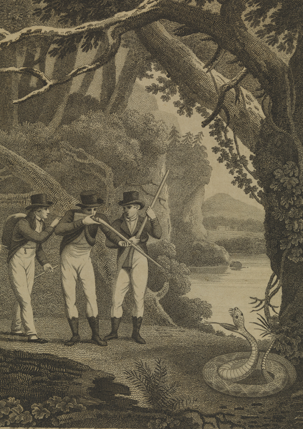 [Scene on the Susquehannah]