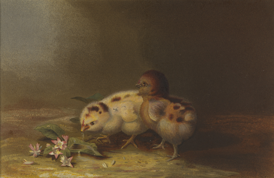 [Two chicks with trailing arbutus]