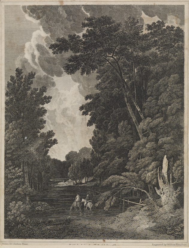 MacBean Creek, Georgia