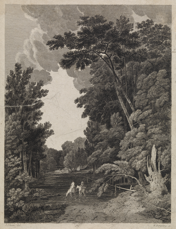 MacBean Creek, Georgia