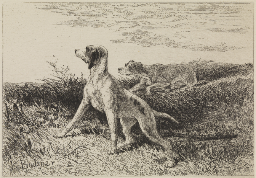 [Hunting dogs in landscape]
