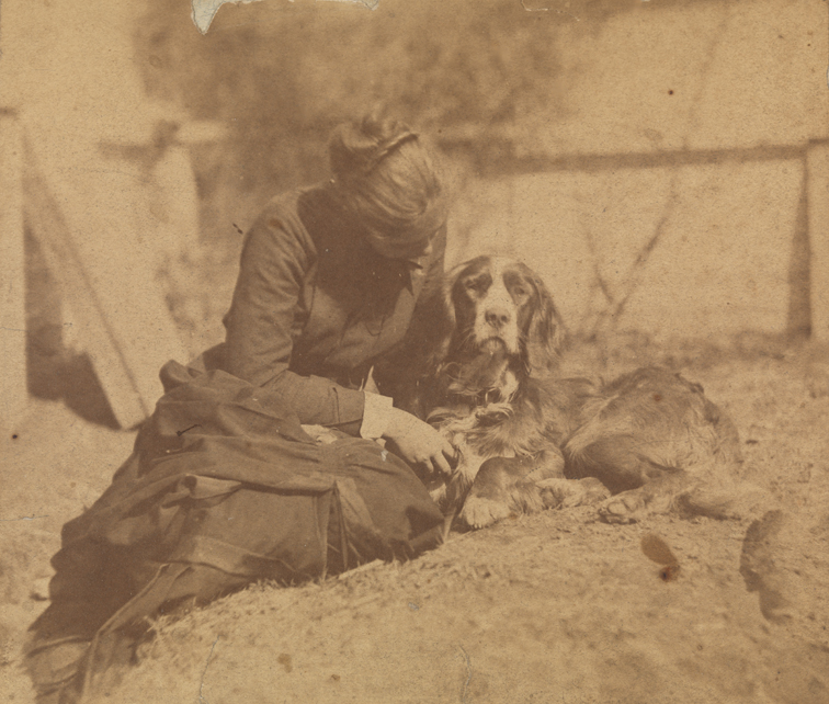 Margaret Eakins sitting on ground with Thomas Eakins's setter Harry