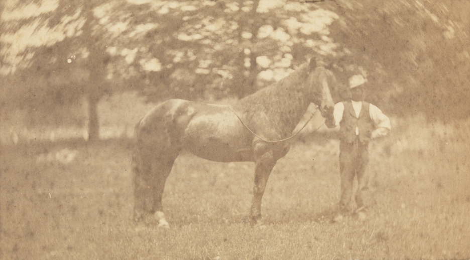The horse Bess with groom