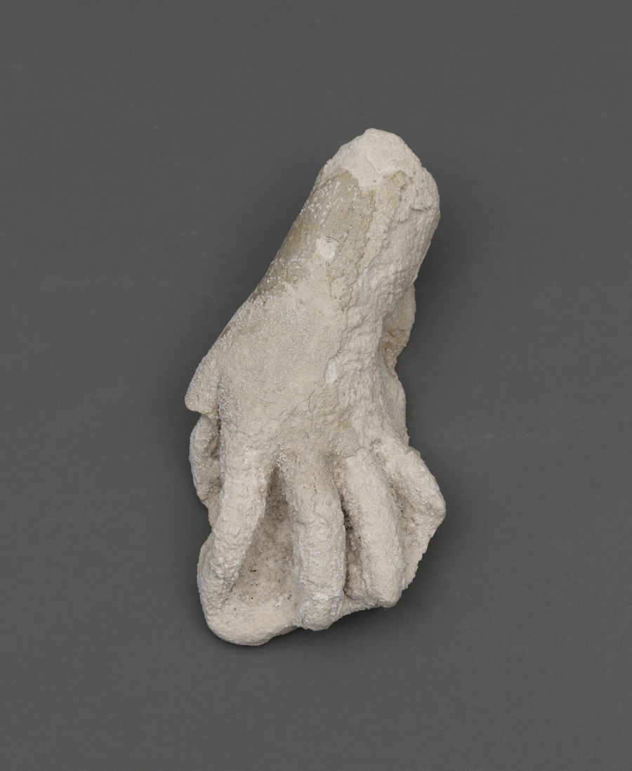 Hand of Child (Margaret Crowell)