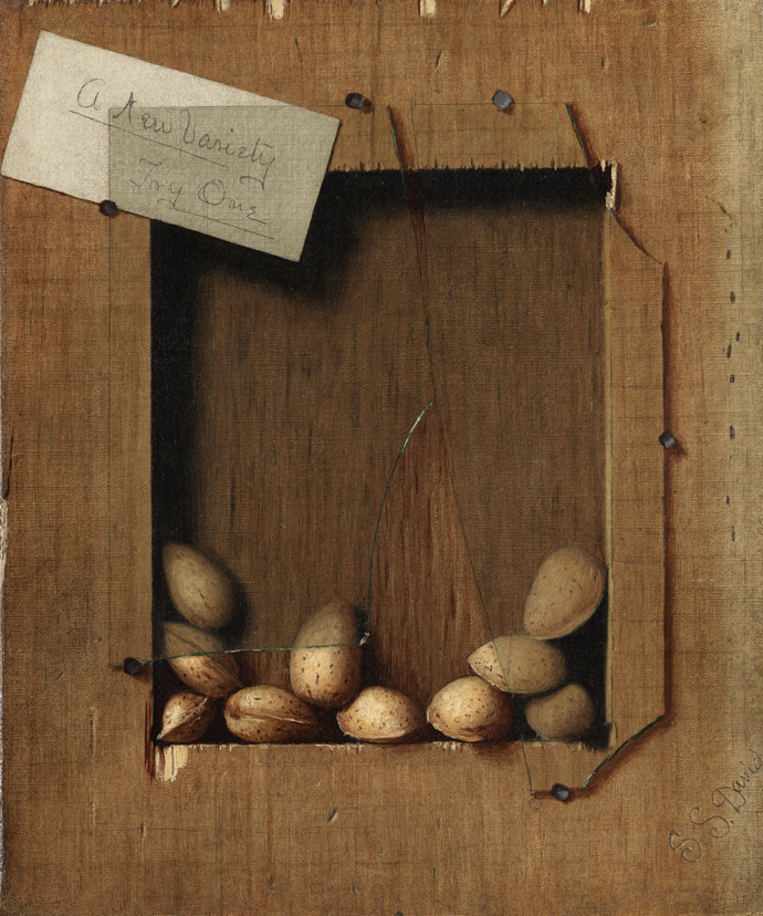 A New Variety, Try One