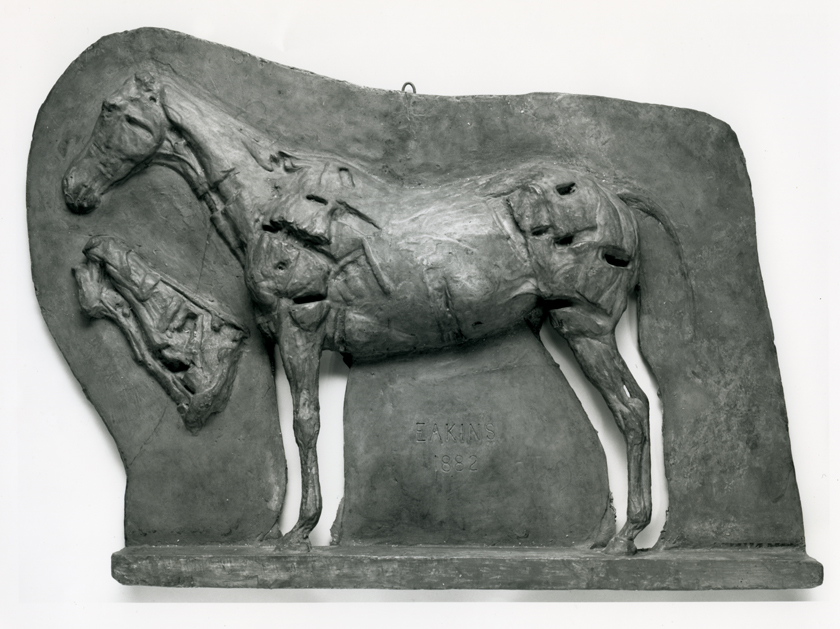 The Mare Josephine (Ecorché Anatomical Model)
