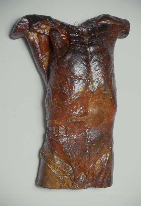 Front of Male Torso