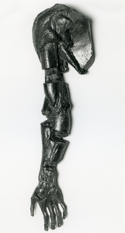 Right Shoulder, Arm, and Hand