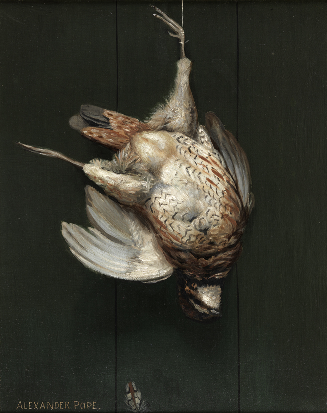 Still Life with Hanging Bird: A Pair
