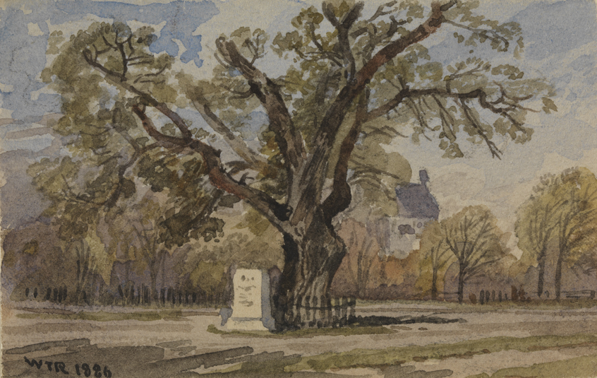 The Elm Under Which Washington First Took Command of the Continental Army, Cambridge, Massachusetts