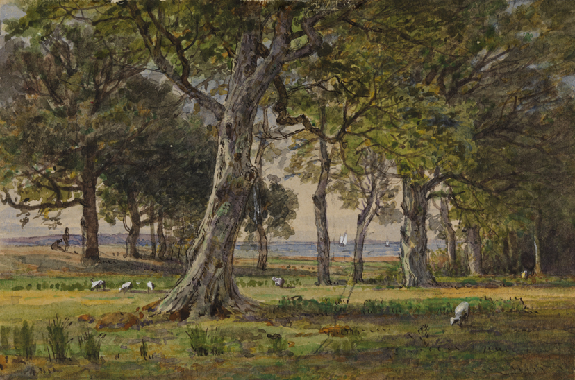 Portsmouth Grove, Near Newport