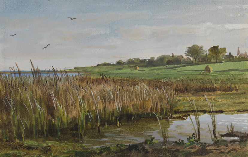 Rushes, Easton's Pond, Newport