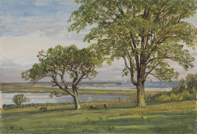 Some of Our Neighbors, Newport