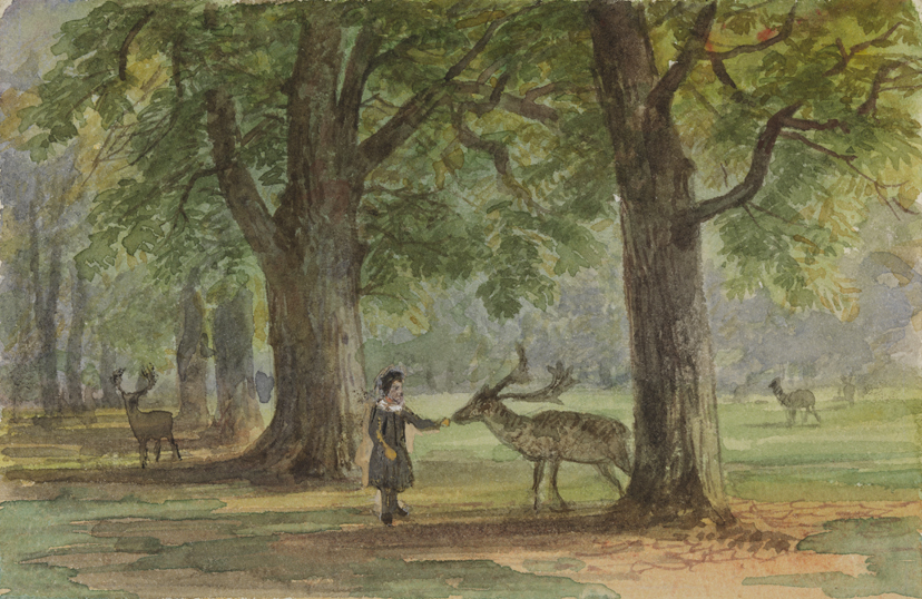 Bushey Park, Near London