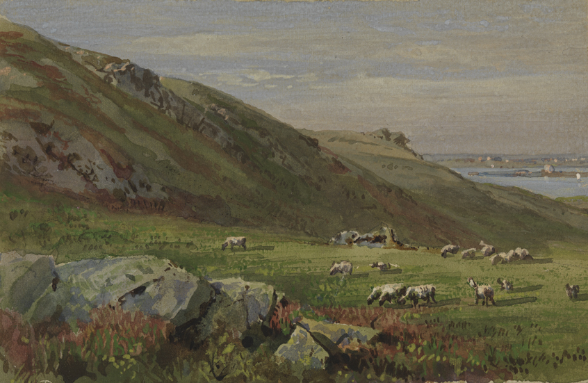 The Sheep Pasture, Conanicut Island