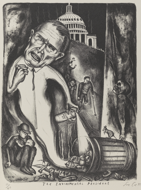 The Environmental President