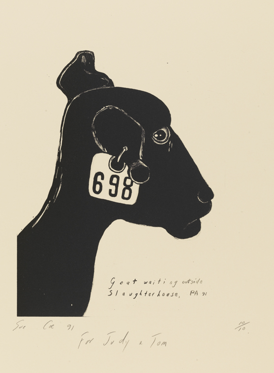 Goat Waiting Outside Slaughterhouse, PA 91