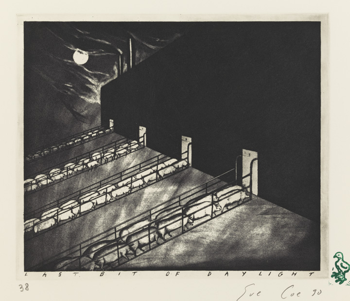 Last Bit of Daylight