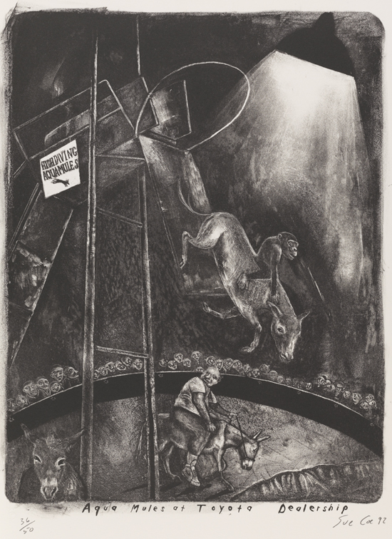 Aqua Mules at Toyota Dealership