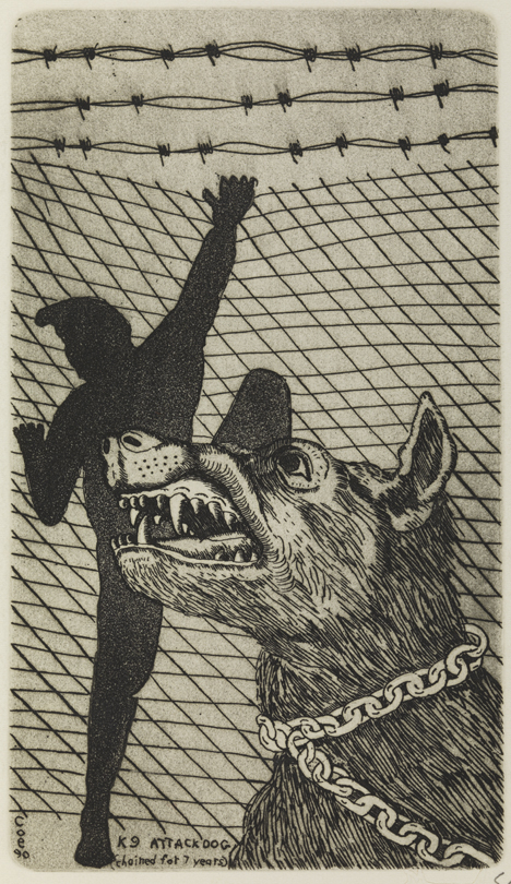 K 9 ATTACK DOG (chained for 7 years)