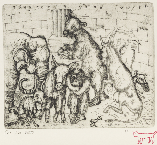 They Need a Good Lawyer