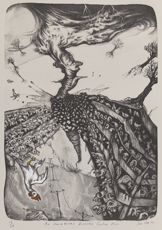 An Unnatural Disaster, Croton, Ohio