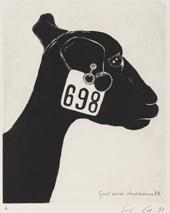 Goat Outside Slaughterhouse, PA