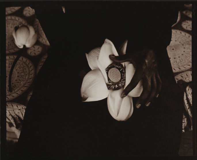 Lotus, Kashmir, India