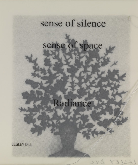 Sense of Silence from "Interviews with the Contemplative Mind"