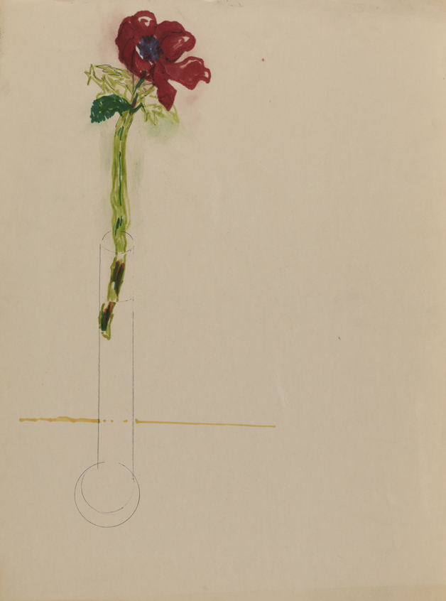 Red Anemone in Glass Vase