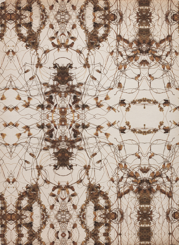 Untitled (1895), (Philagrafika: 2006 Portfolio)