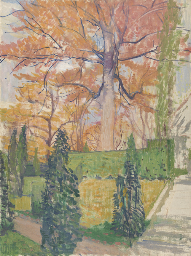 The Cogslea Maple Tree