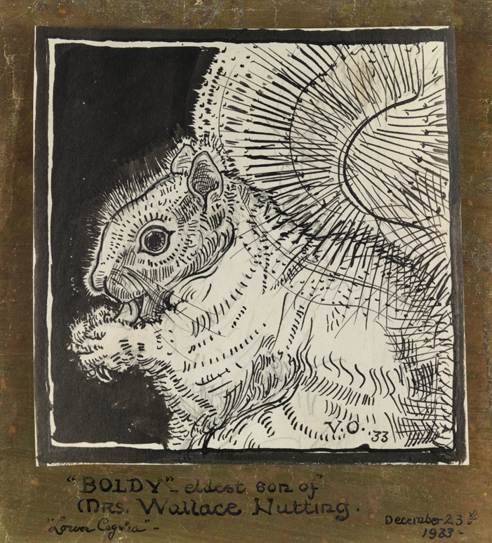 Study of a squirrel ("Boldy" Christmas card)