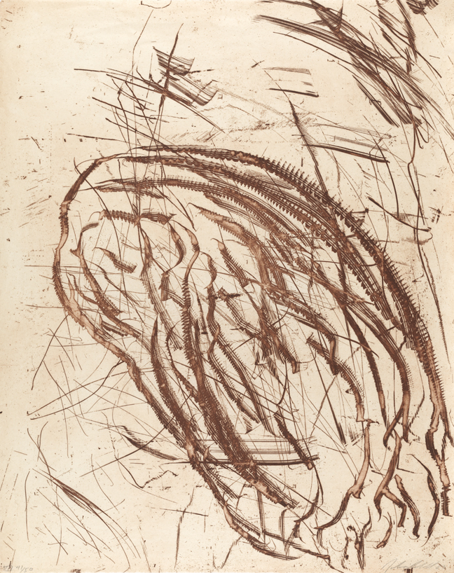 TOD Cage without Bars, VII