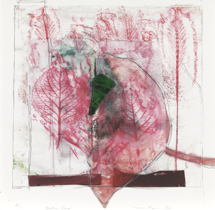 Broken Leaf (FemFolio)