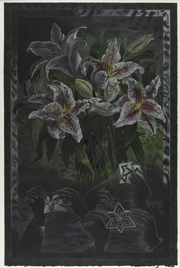 The Mystery Explained (Lilium)