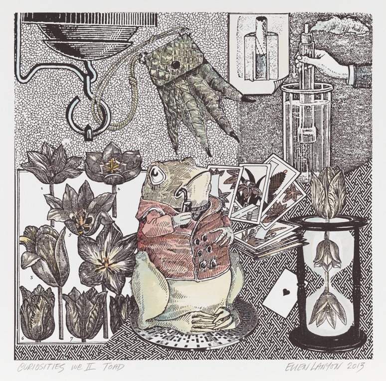 Curiosities WC II Toad