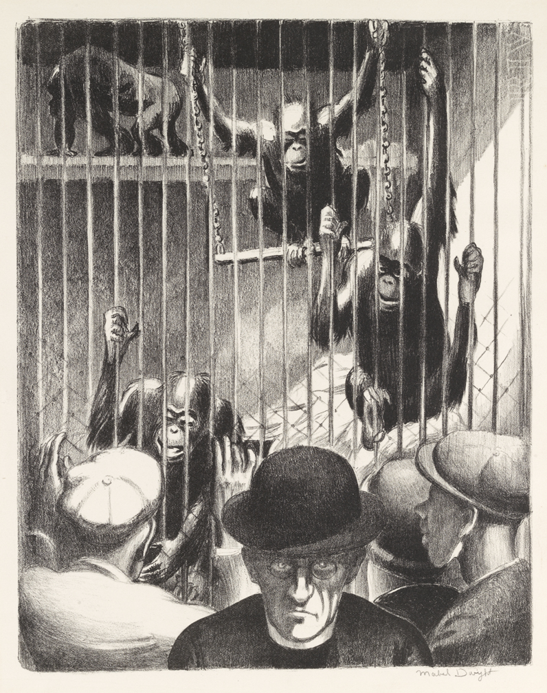 The Brothers - Monkey House