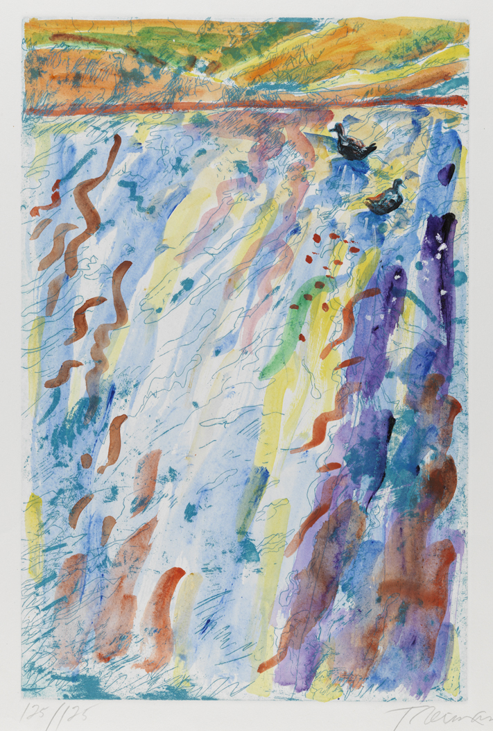 Venice California Canal