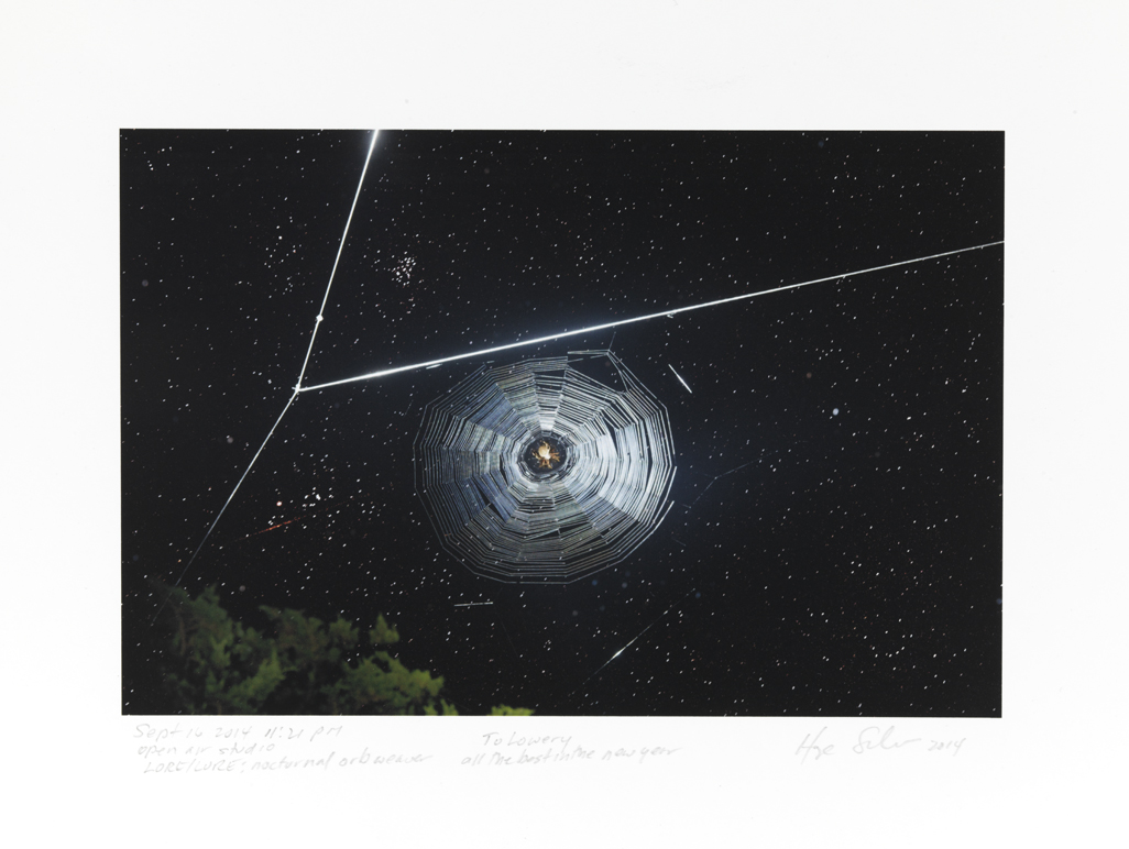 Love/Lure: nocturnal or weaver