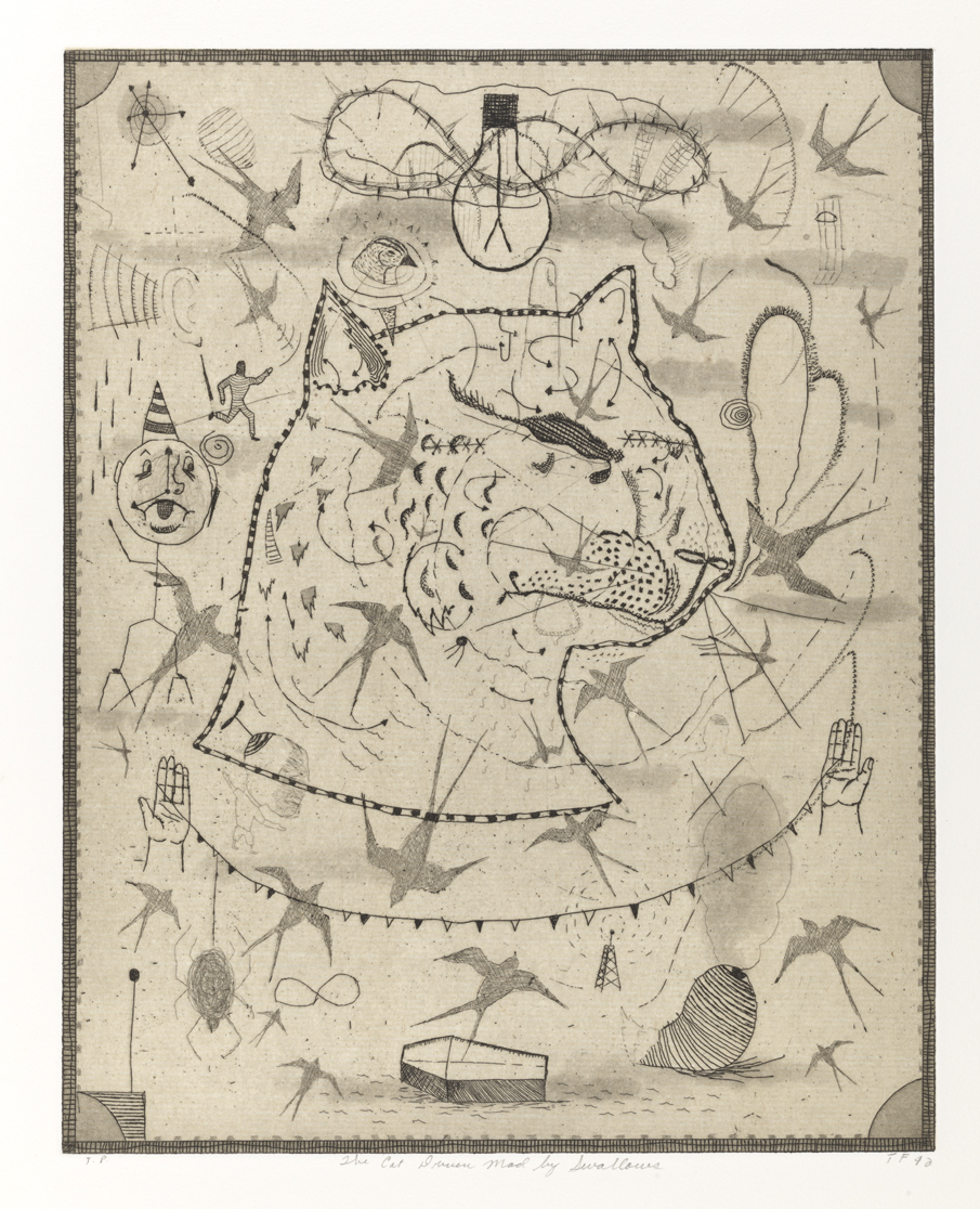 The Cat Driven Mad by Swallows