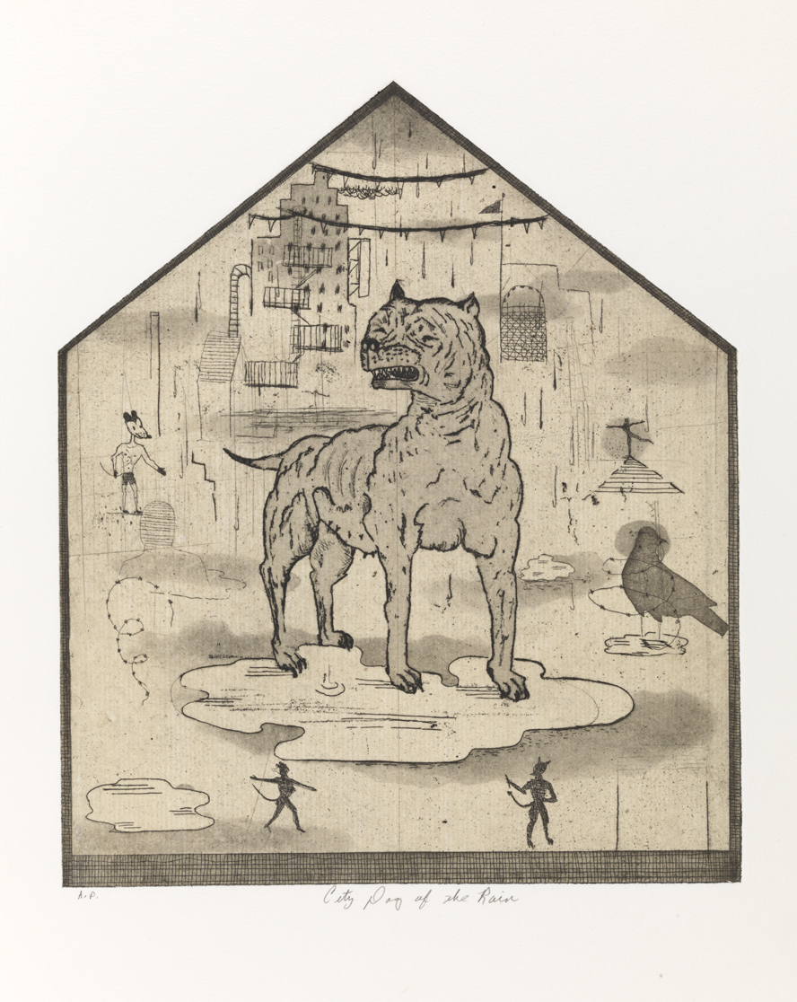 City Dog of the Rain