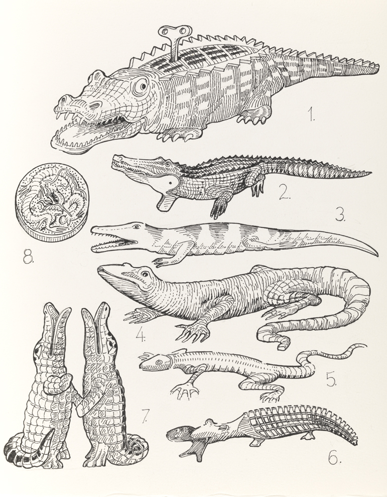 Drawing C, Book II, Animal, from Index: The Objects of My Obsession