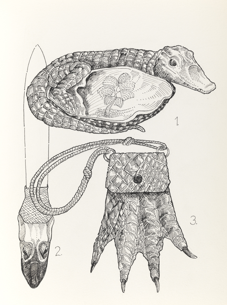 Drawing D, Book II, Animal, from Index: The Objects of My Obsession