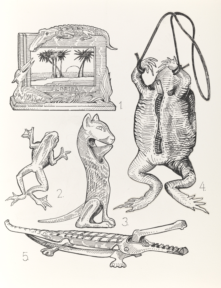 Drawing E, Book II, Animal, from Index: The Objects of My Obsession