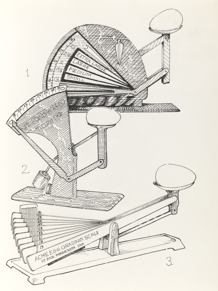 Drawing H, Book IV, Implements, from Index: The Objects of My Obsession